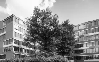 Gründung GmbH