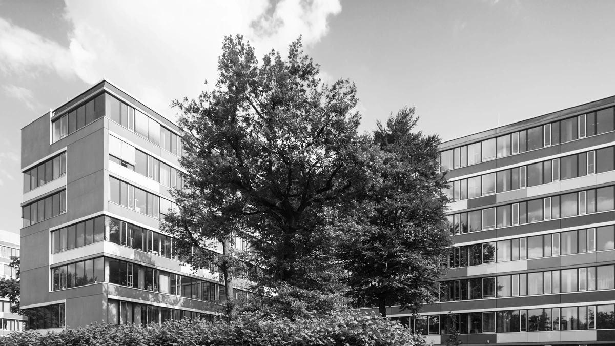 Gründung GmbH Gründung GmbH
